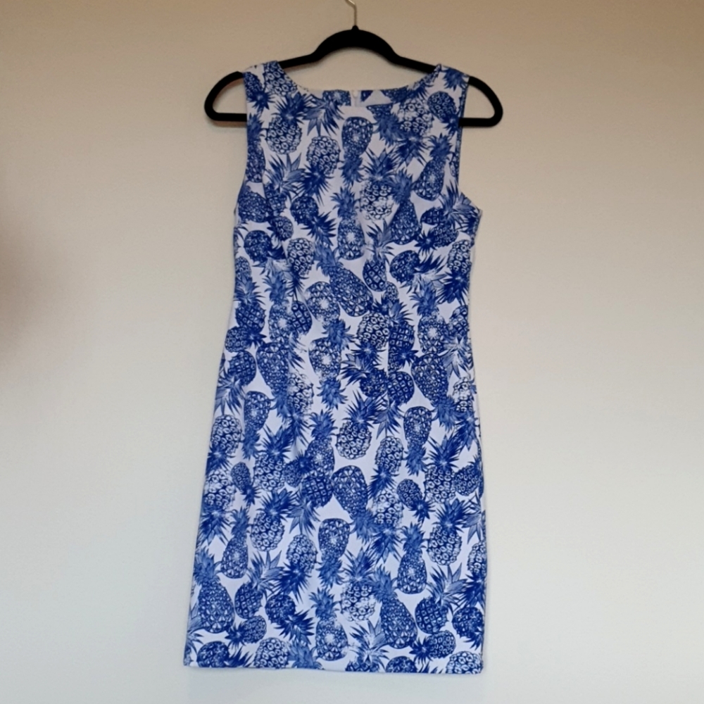 Pineapple, professional dress in size 6